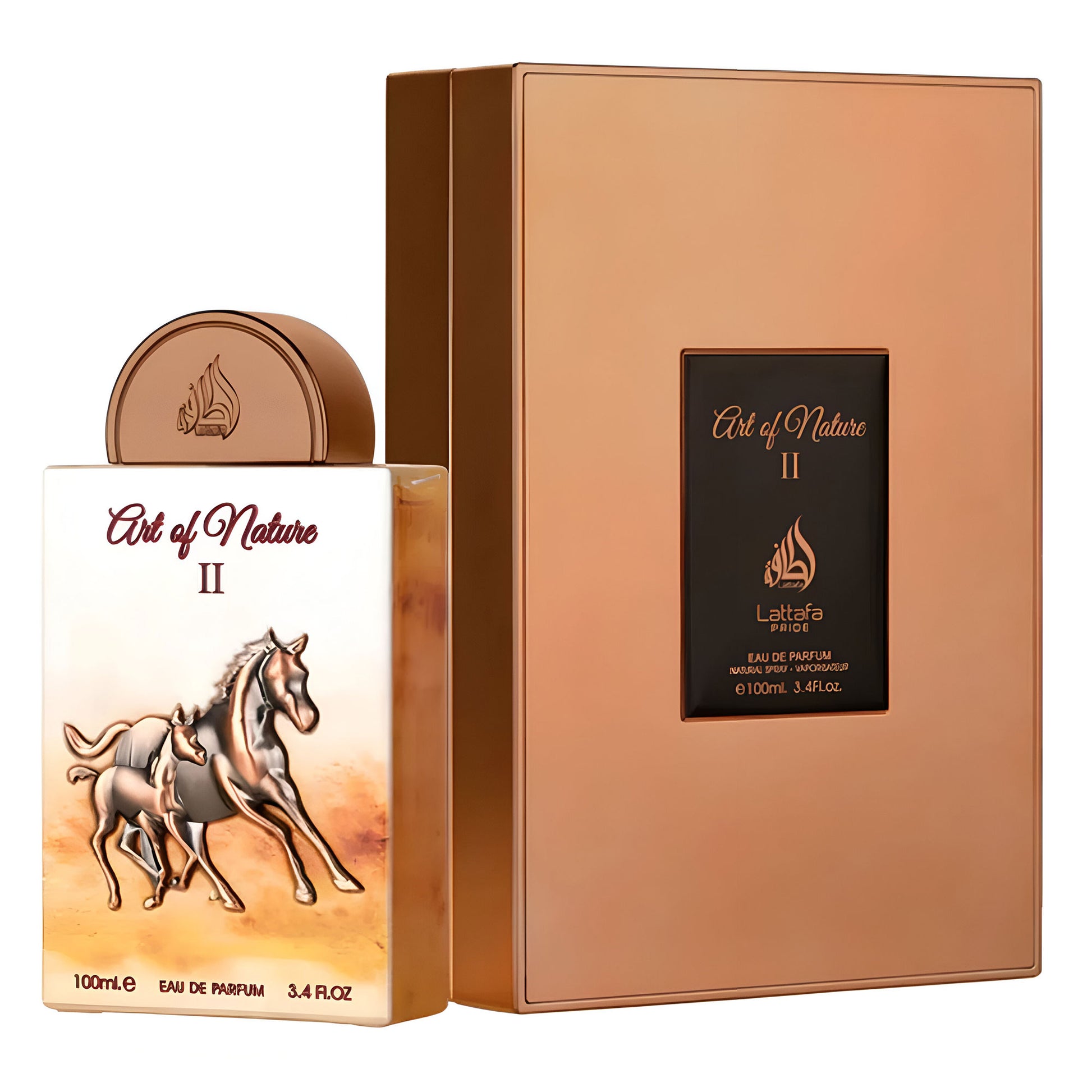 Art Of Nature 2 100ml EDP By Lattafa (Men's)