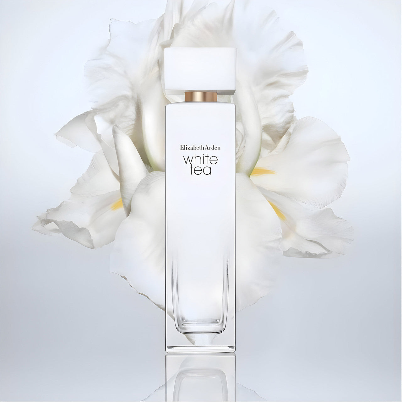 White Tea 100ml EDT By Elizabeth Arden (Womens)
