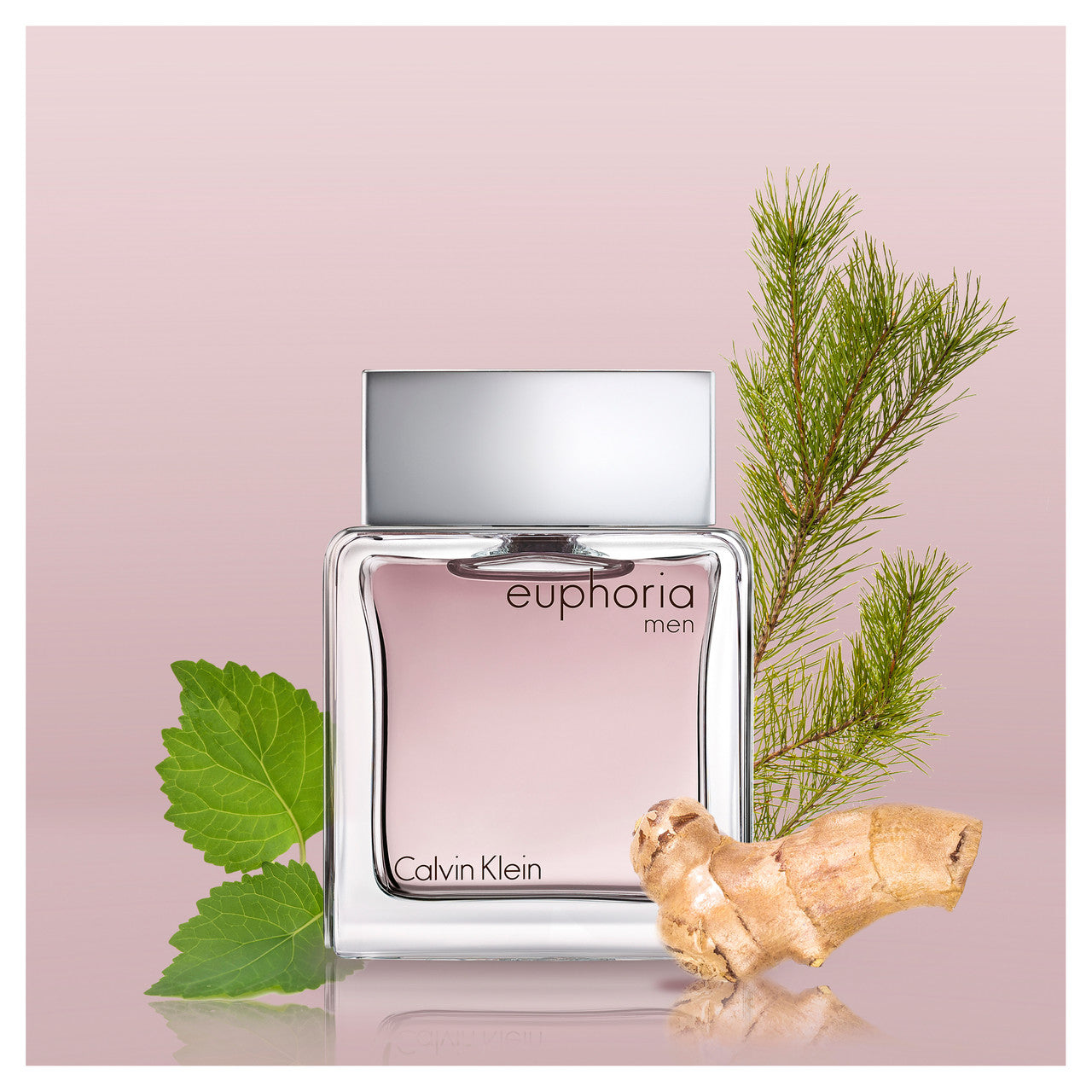 CALVIN KLEIN Euphoria Eau de Toilette for him 100ml