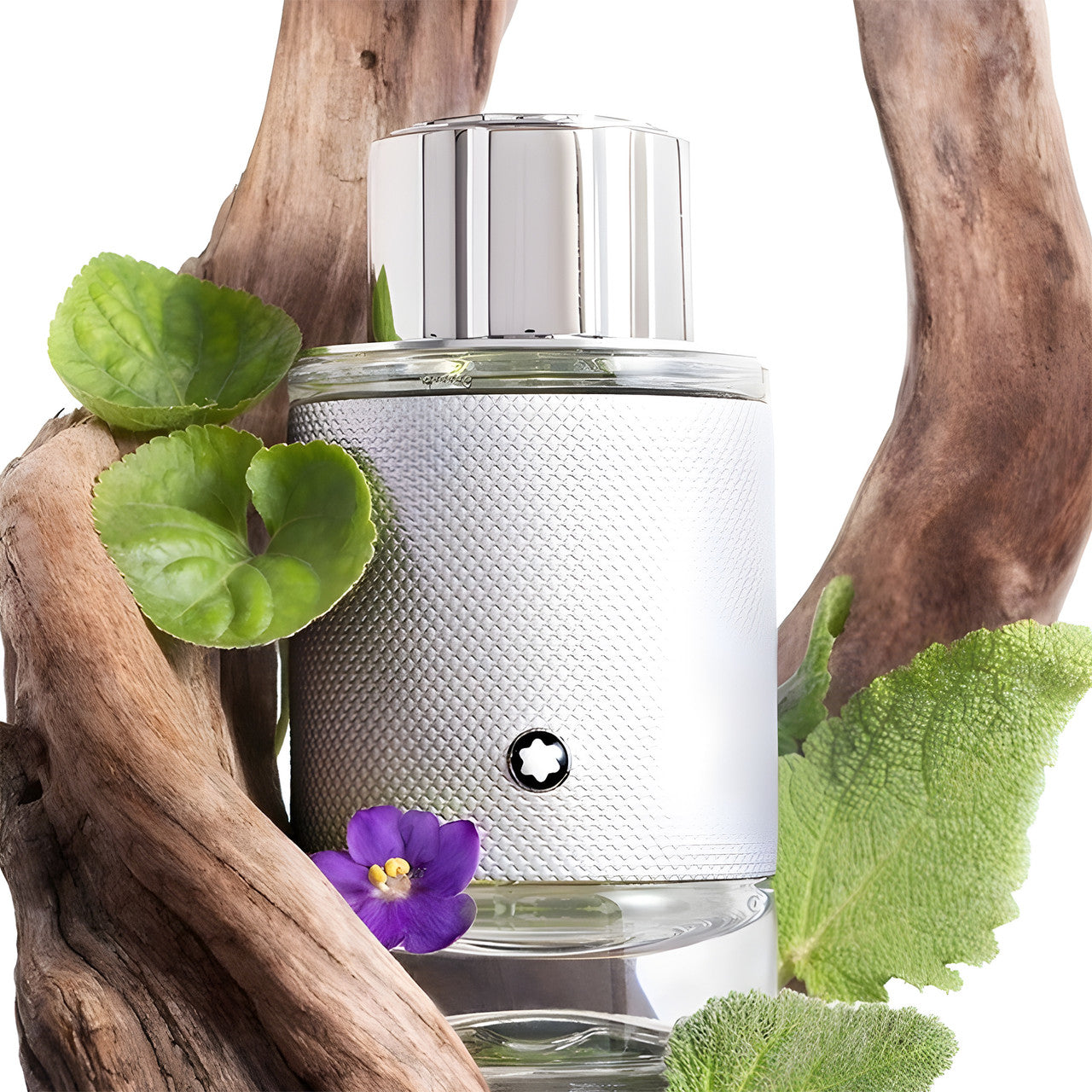 Explorer Platinum 100ml EDP By Mont Blanc (Mens)