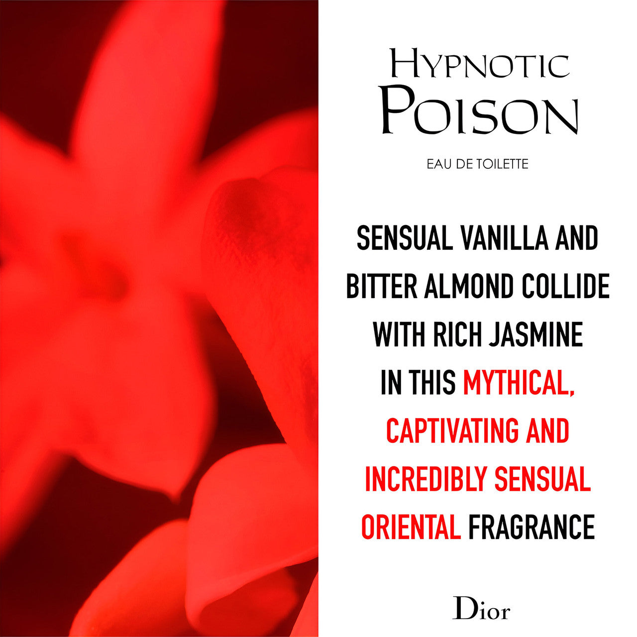 Hypnotic Poison 100ml EDP By Christian Dior (Womens)