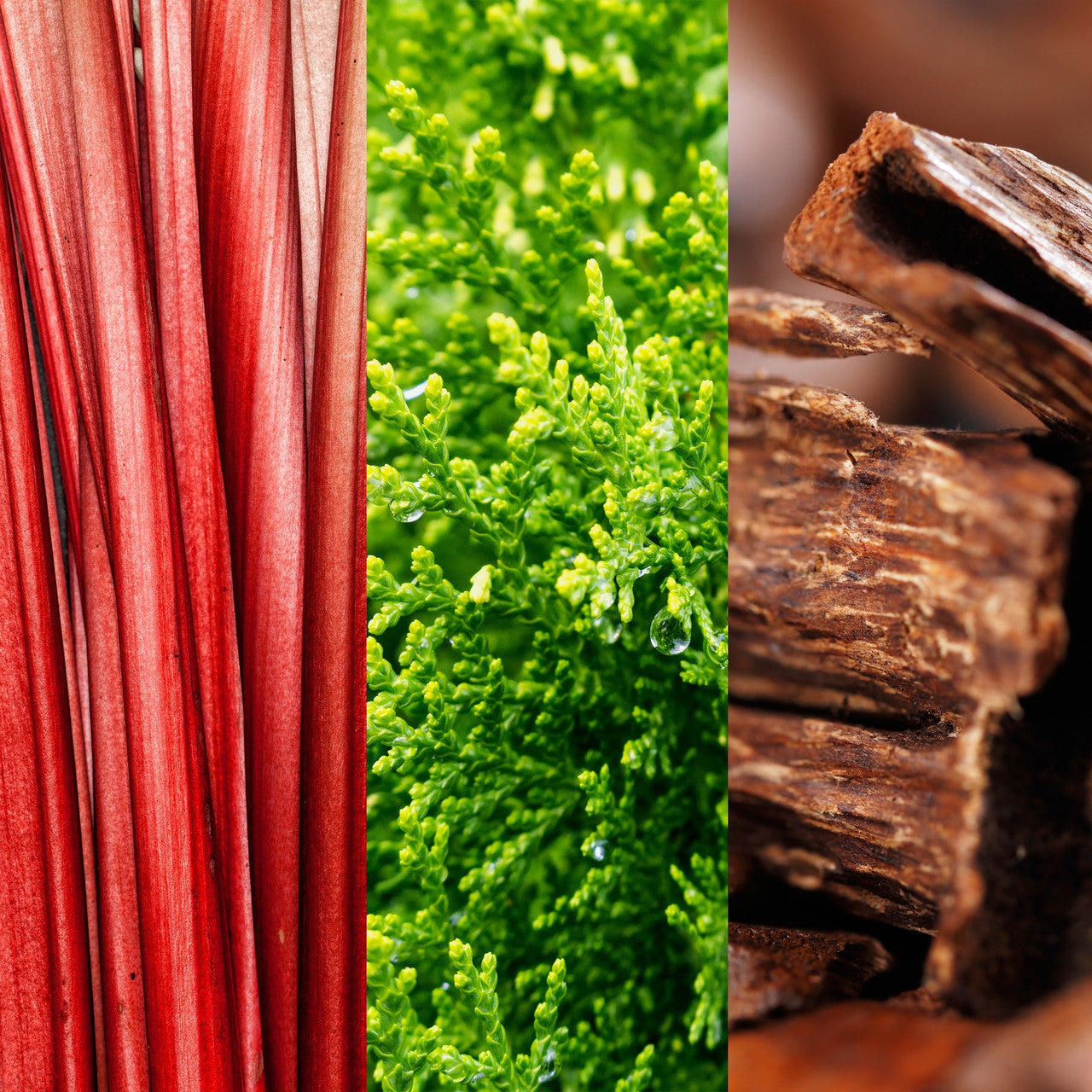 Joop! Go Eau De Toilette For Men 100ml