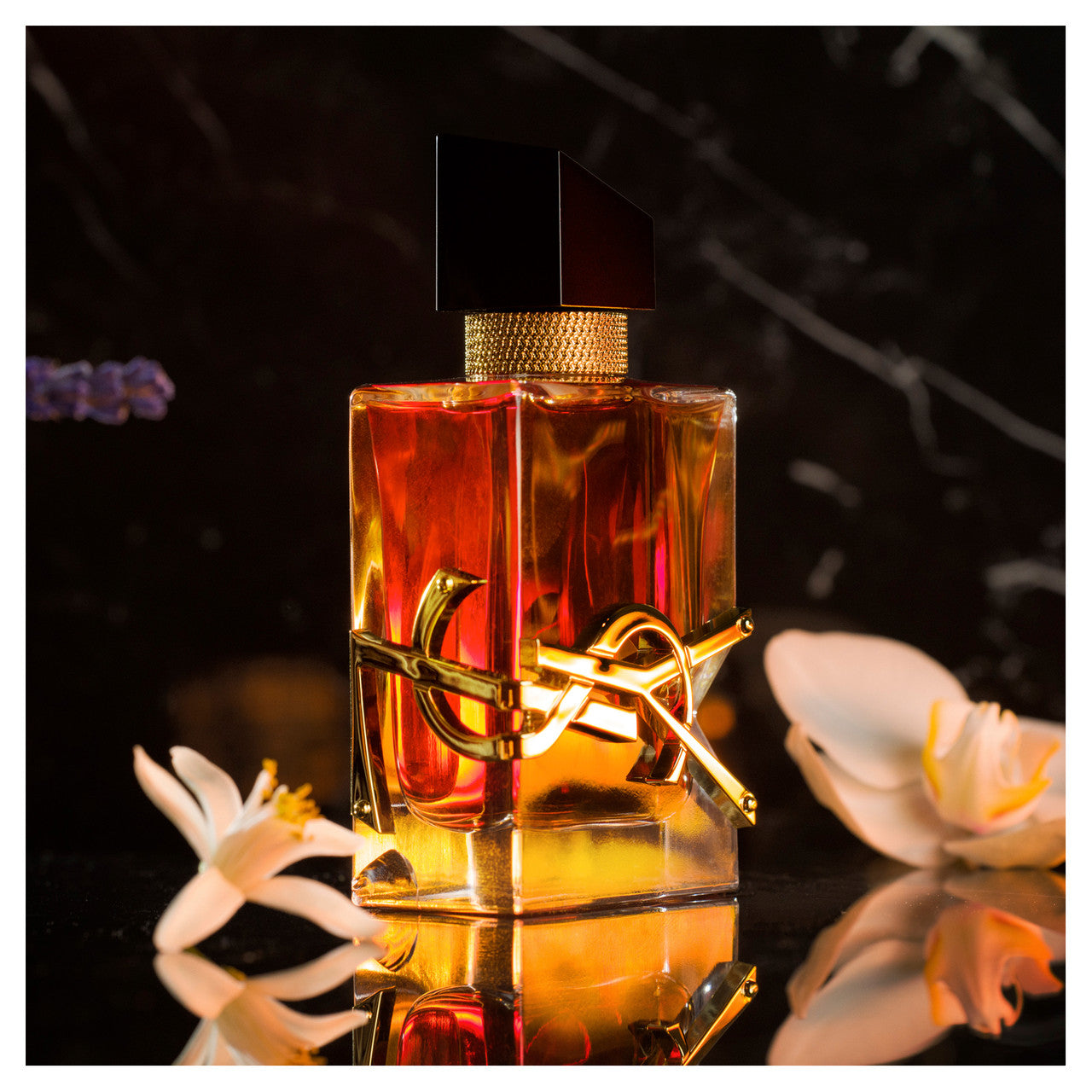 Libre Intense Eau De Parfum 50mL