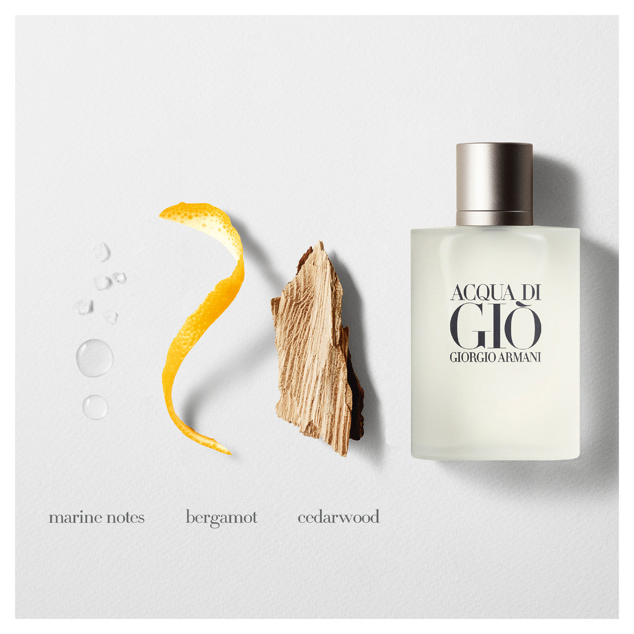 Acqua Di Gio Eau de Toilette 100ml