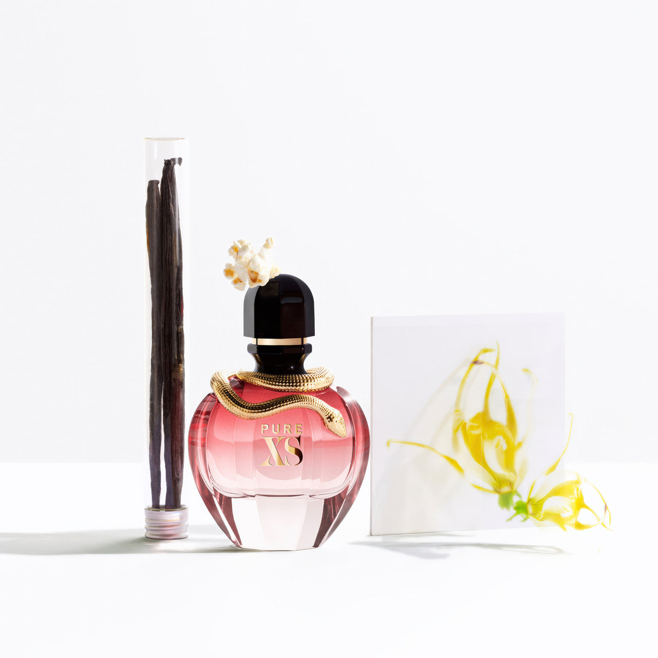 Pure XS 80ml EDP By Paco Rabanne (Women's)