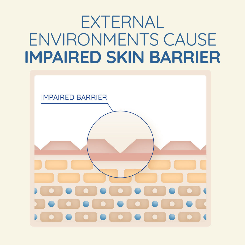 Aveeno Skin Relief Gentle Fragrance Free Body Wash Relieve Extra Dry Itchy Sensitive Skin PH-Balanced Cleanser 532mL