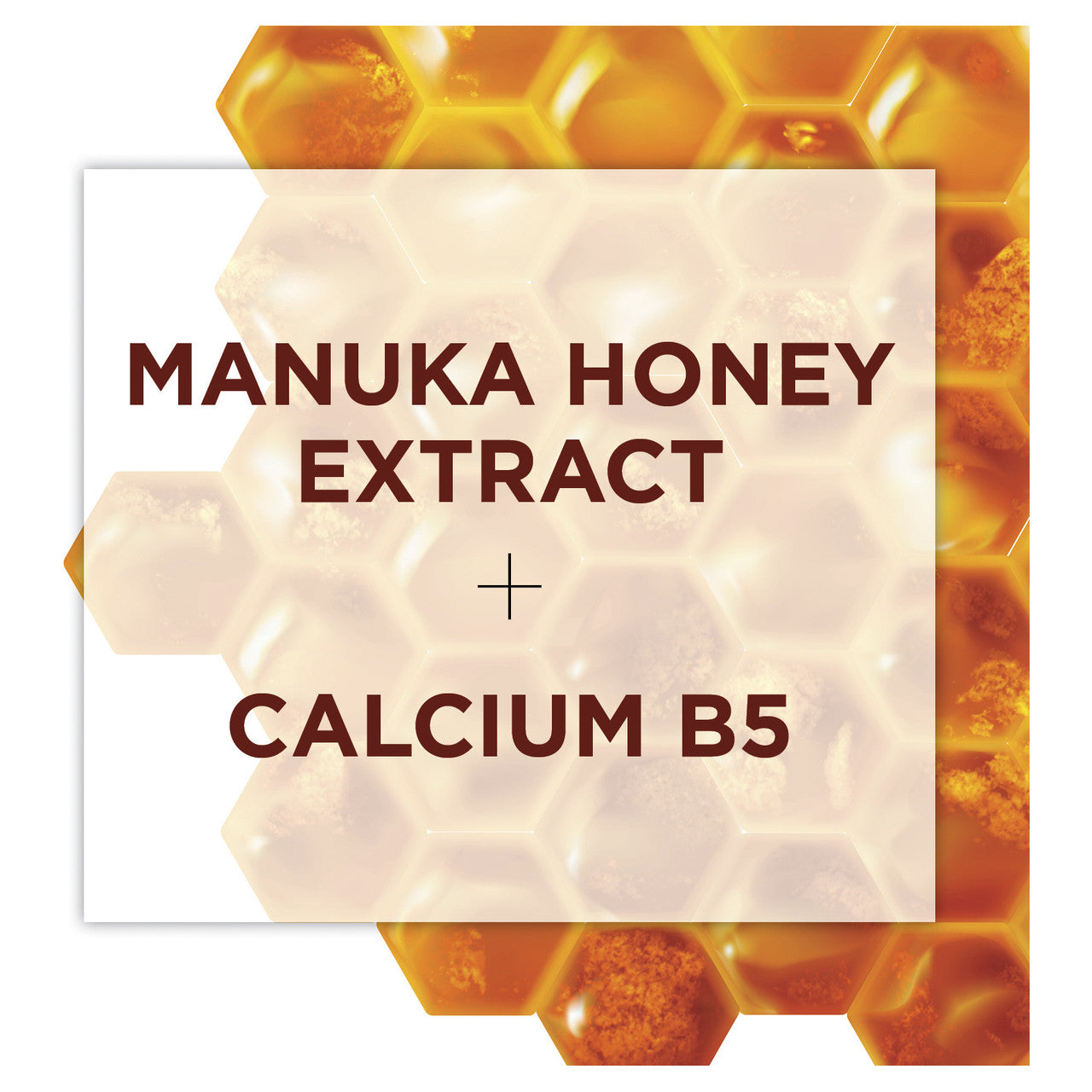 L'Oréal Paris Age Perfect Intense Nutrition Rich Repairing Night Cream