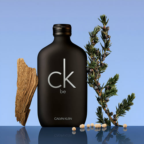 CALVIN KLEIN FRAGRANCES CK Be Eau de Toilette Spray 200 ML