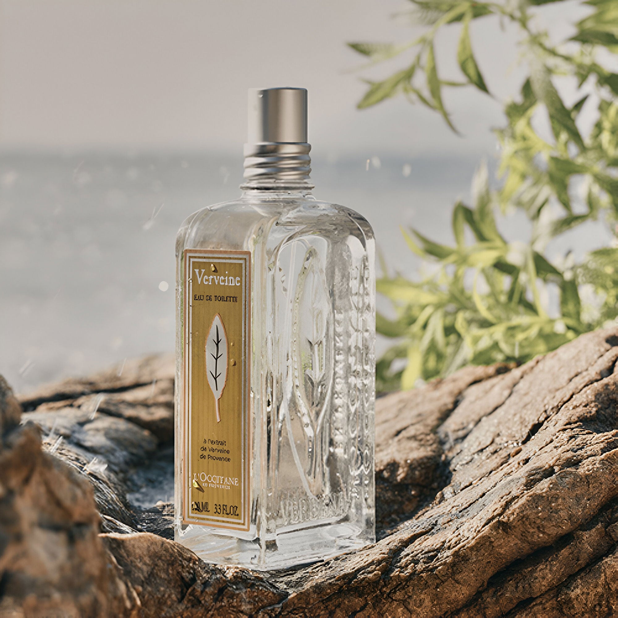 Verbena By L'Occitane 100ml EDT (Men's)