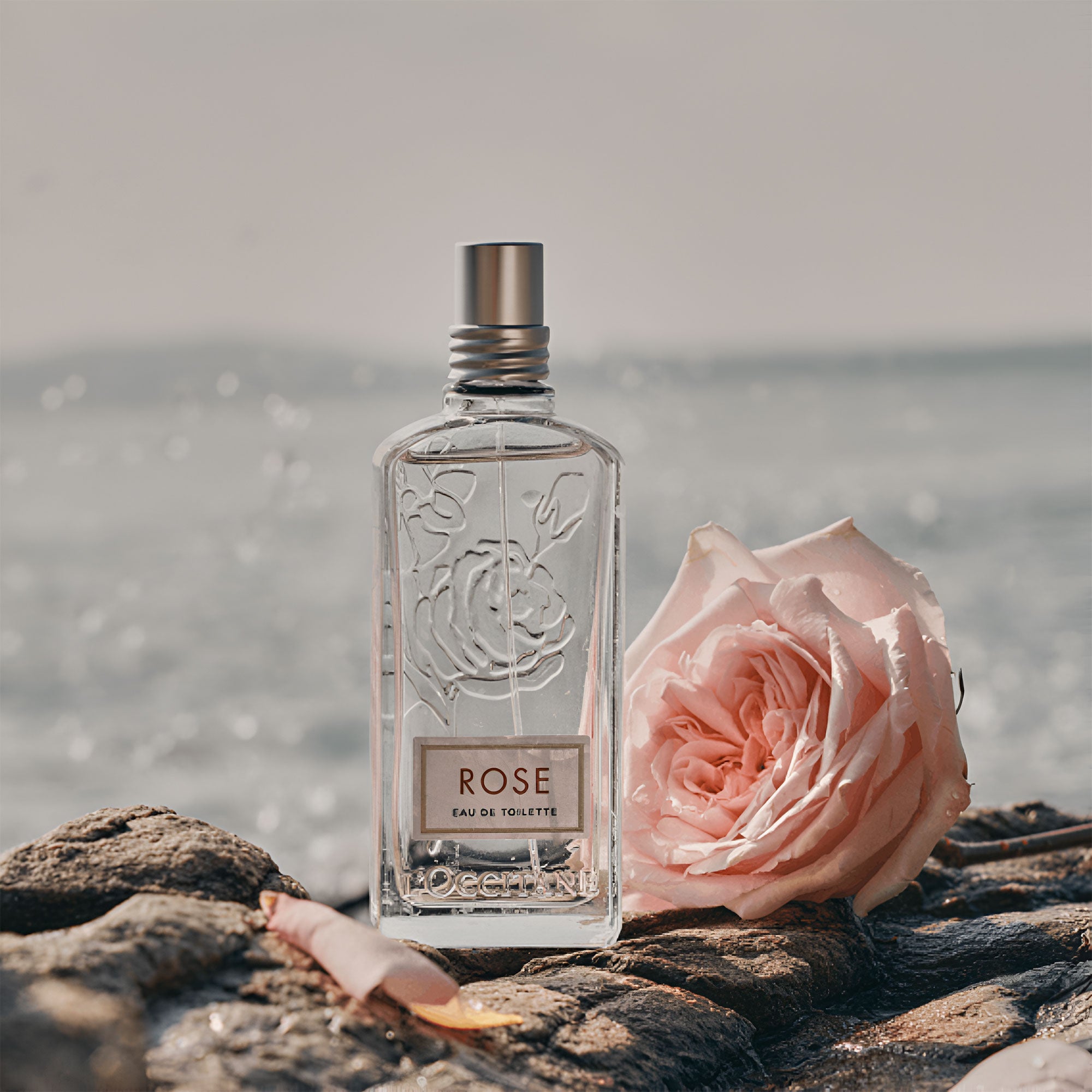 Rose By L'Occitane 75ml EDT (Women's)