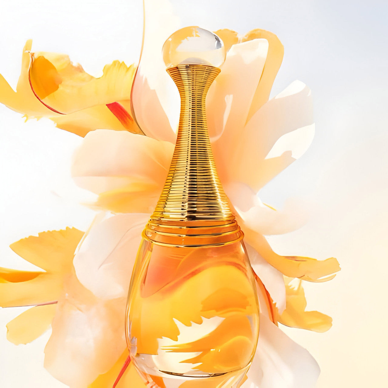 Jadore 100ml EDP By Christian Dior (Womens)