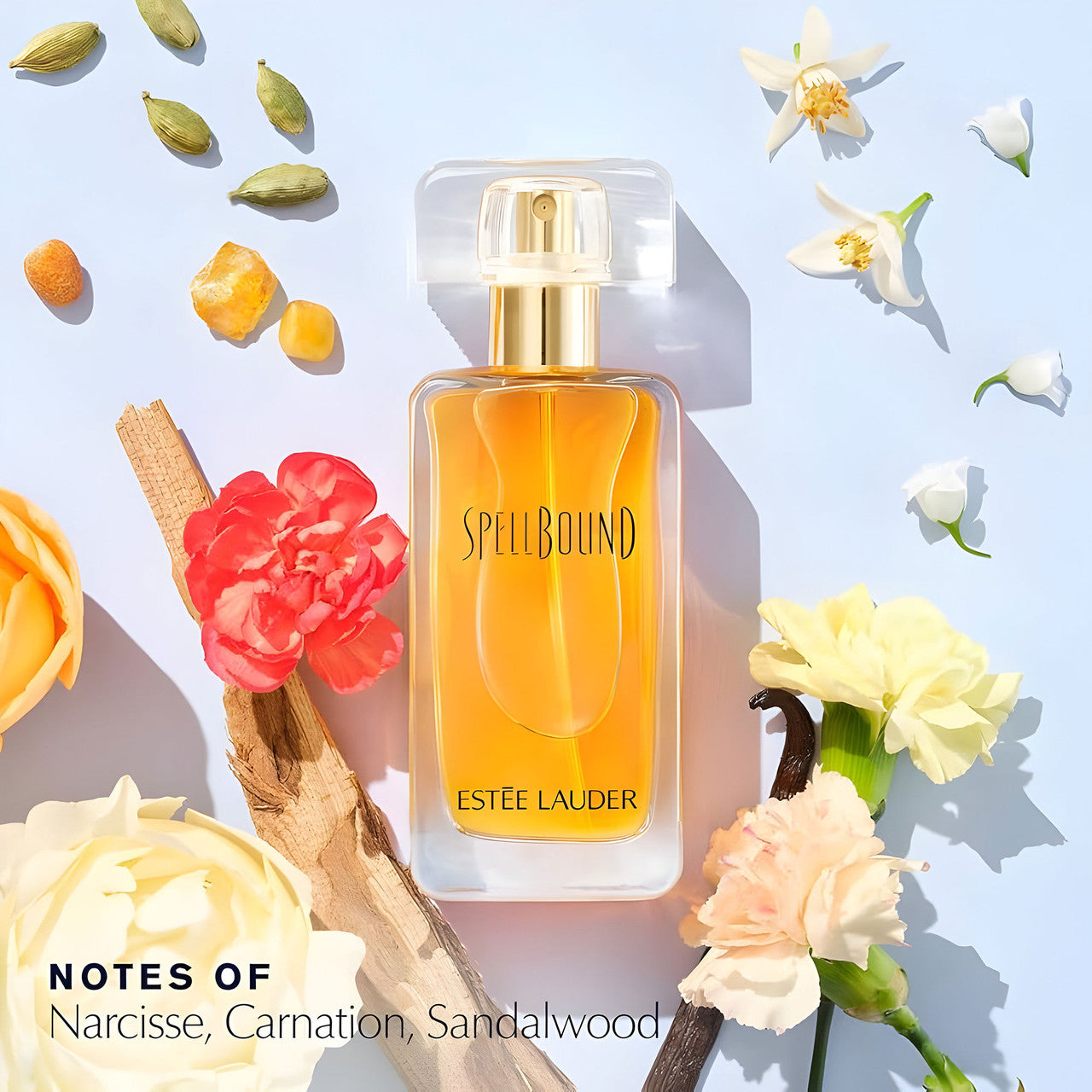Spellbound 50ml EDP By Estee Lauder (Women's)