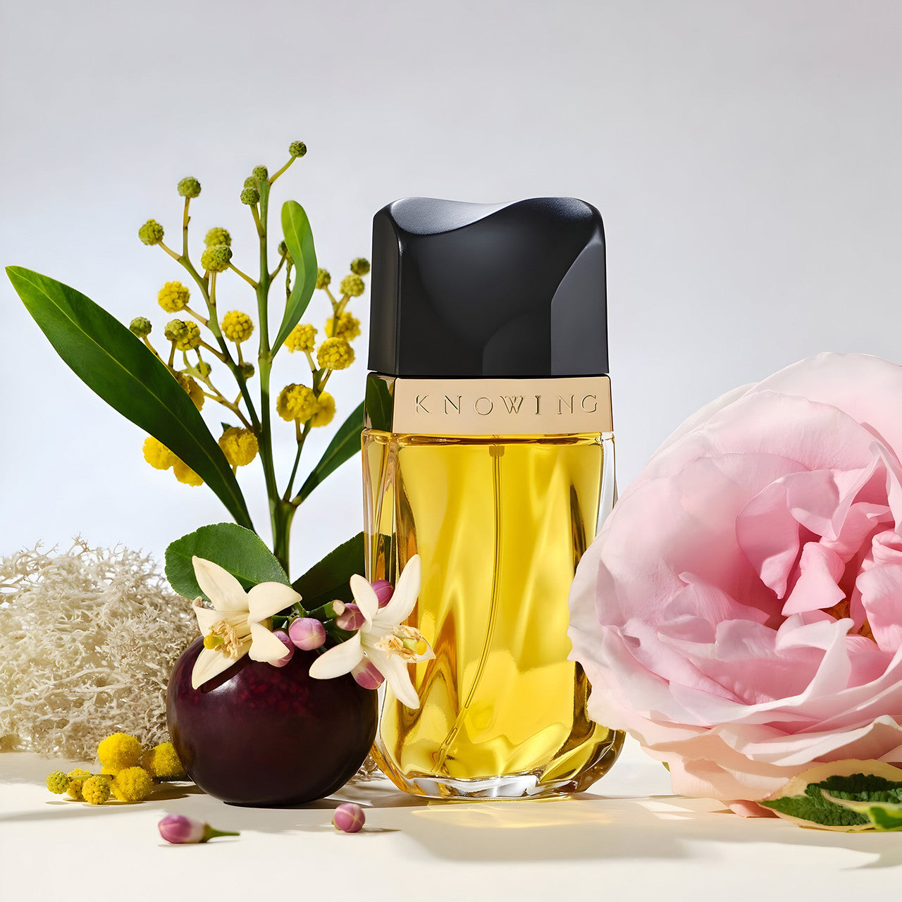 Knowing 75ml EDP By Estee Lauder (Womens)