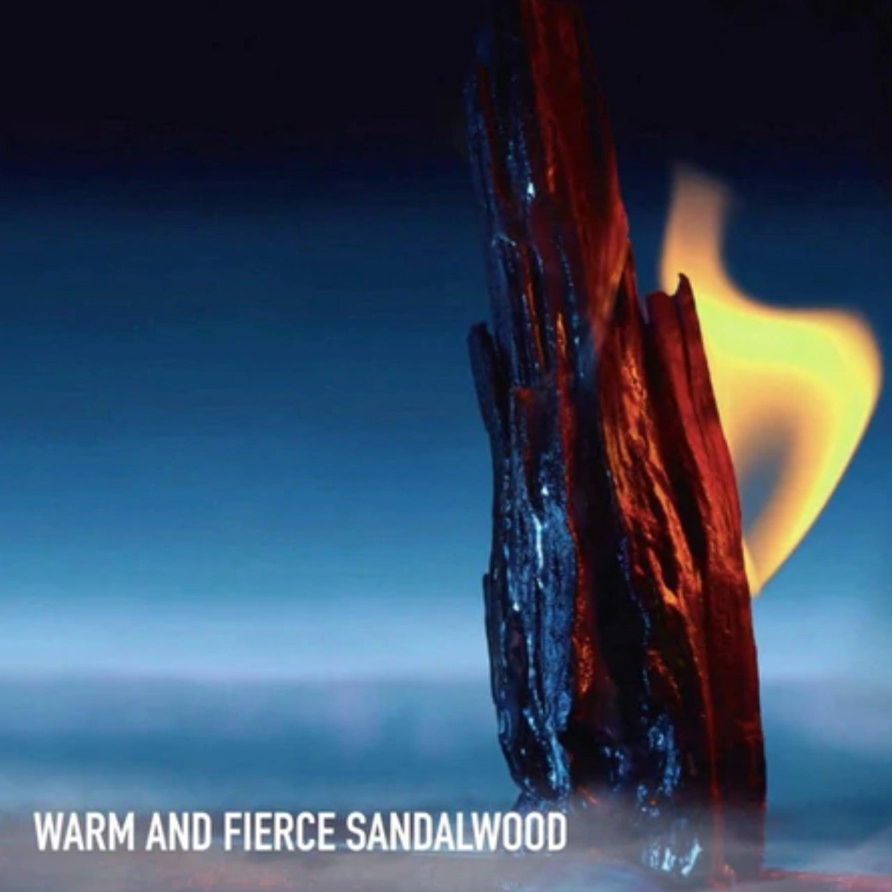 Sauvage Parfum 60ml By Christian Dior (Mens)