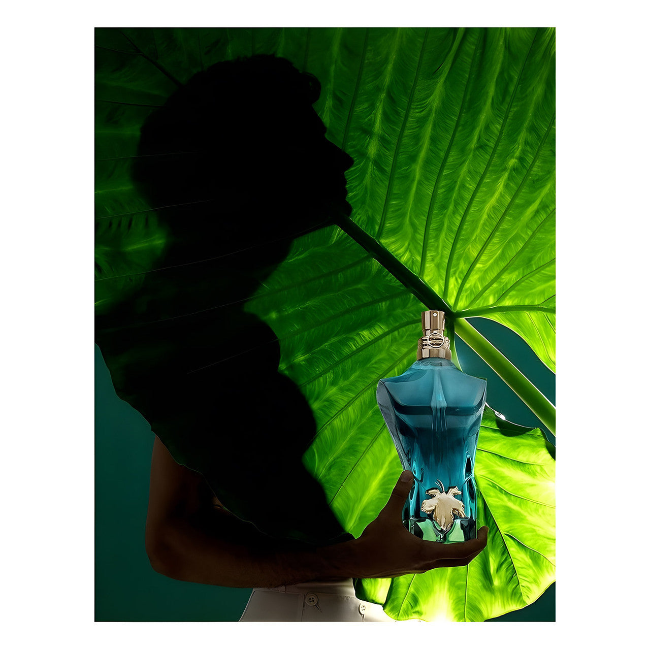 Jean Paul Le Beau 75ml EDT By Jean Paul Gaultier (Mens)