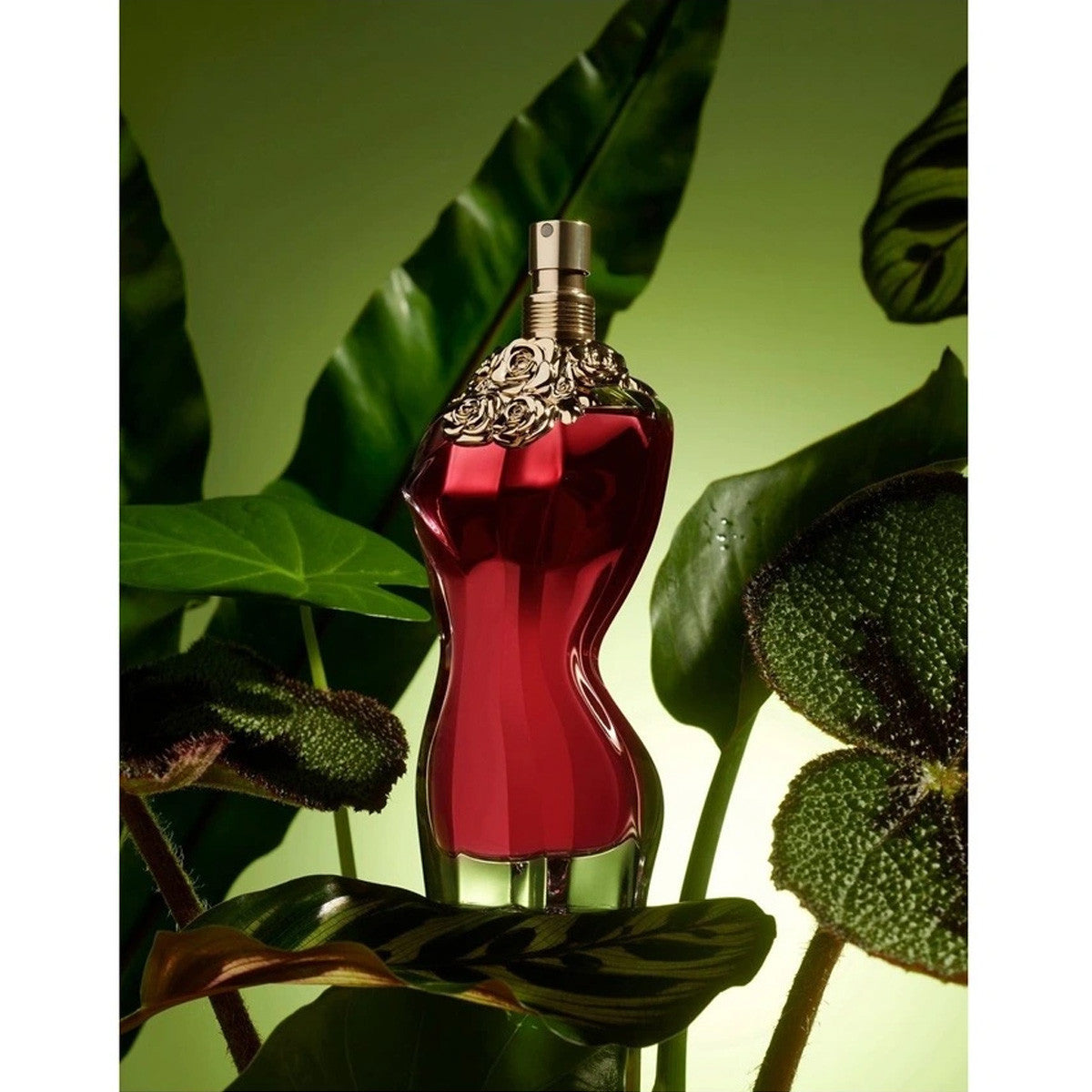 La Belle 50ml EDP by Jean Paul Gaultier (Womens)