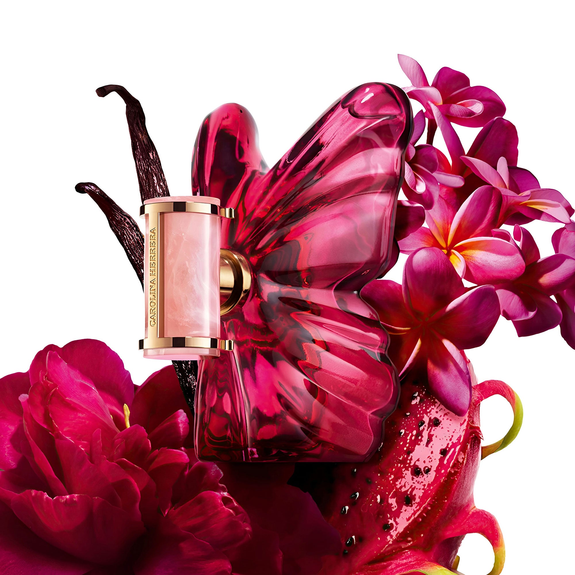 La Bomba 50ml EDP By Carolina Herrera (Women's)