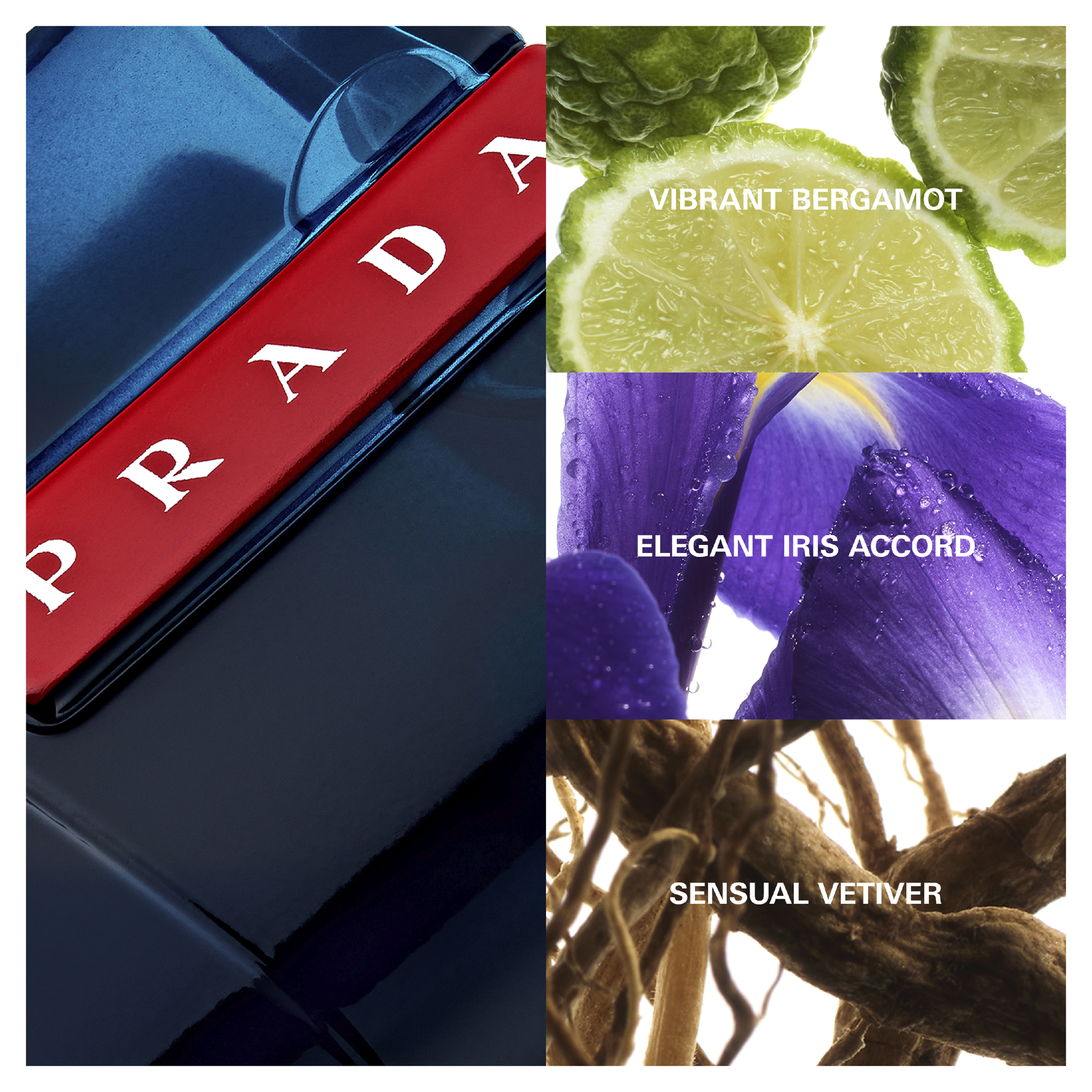 Luna Rossa Ocean 100ml EDT By Prada (Men's)