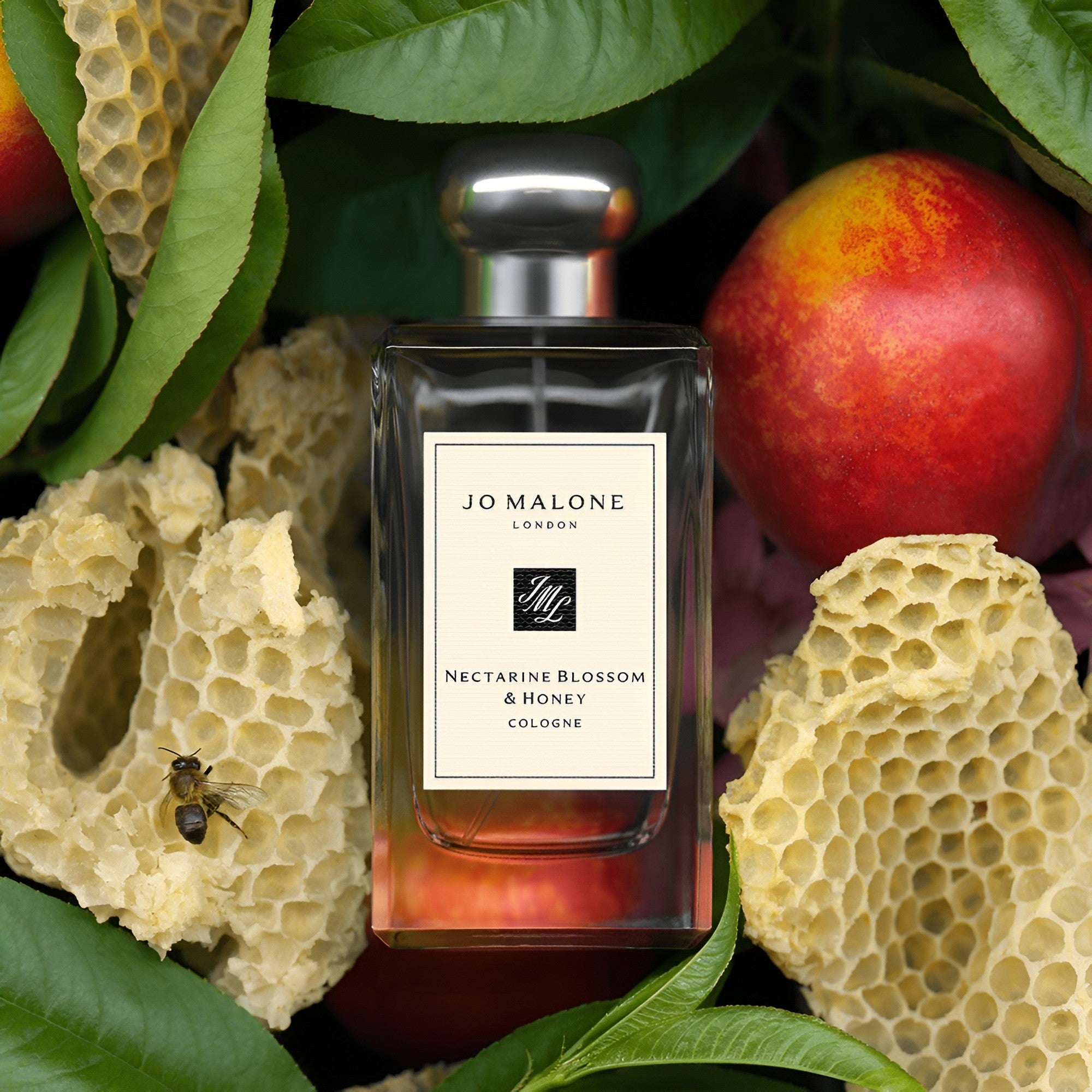 Nectarine Blossom & Honey 100ml EDC By Jo Malone (Women's)