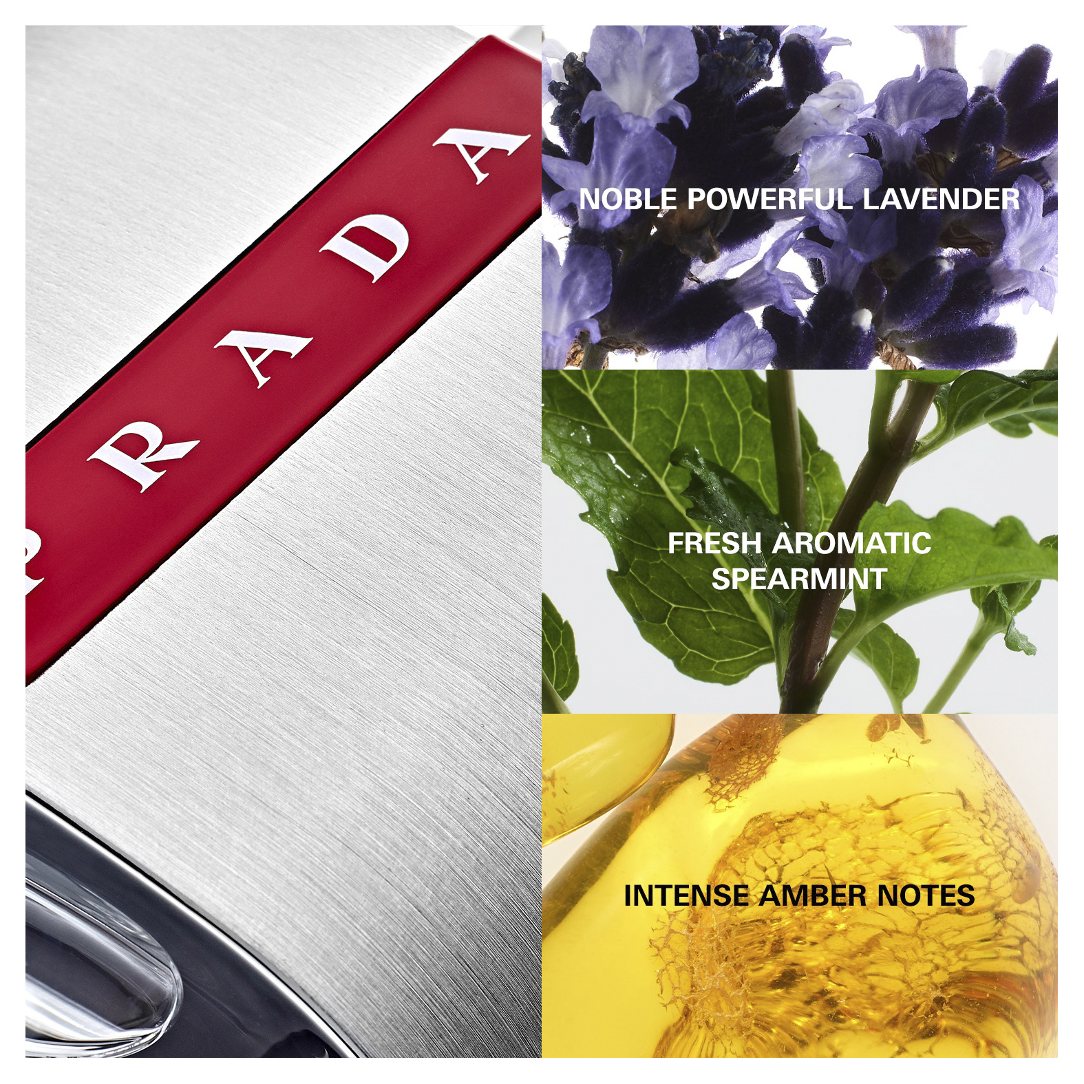 Luna Rossa 50ml EDT By Prada (Men's)