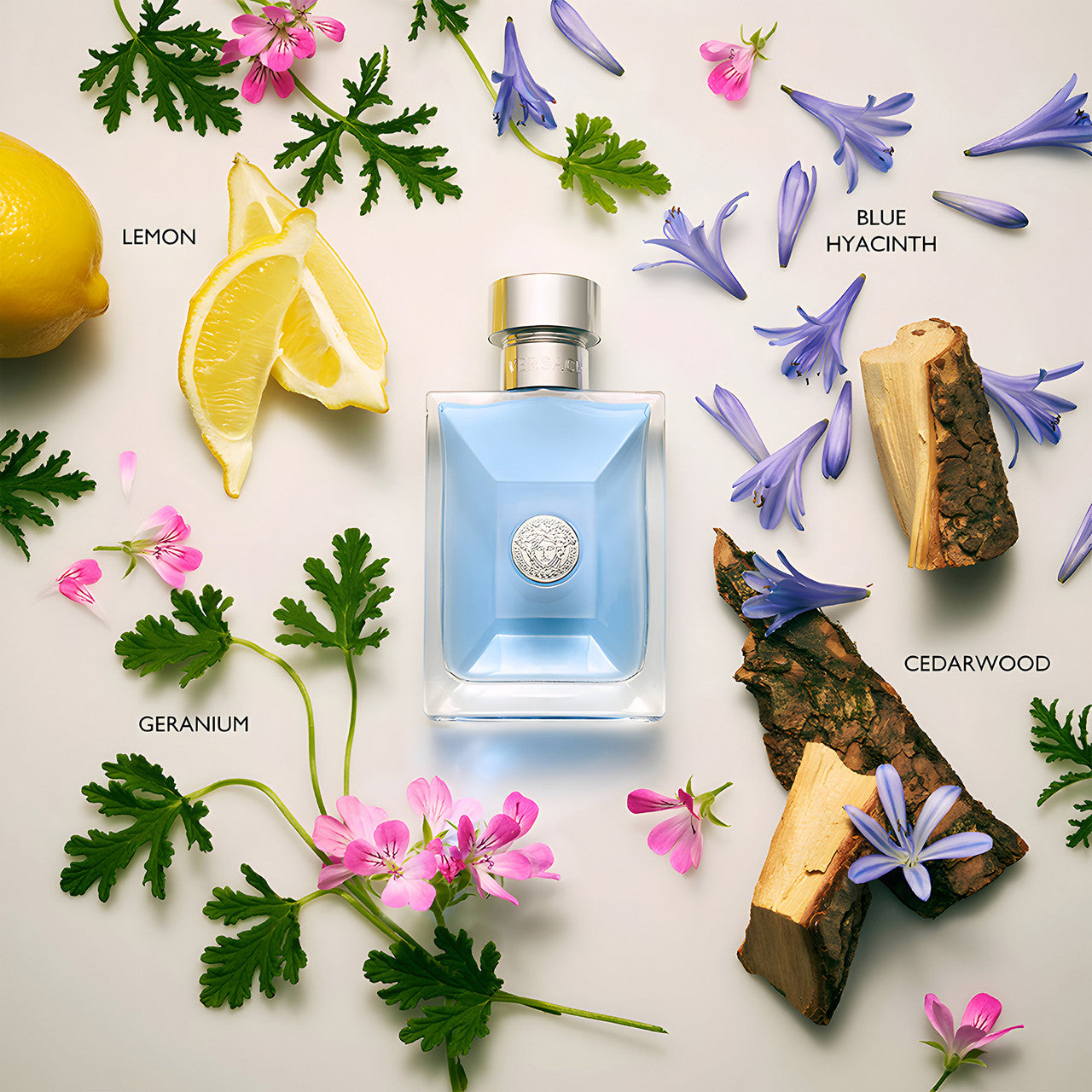 Versace Pour Homme 100ml EDT By Versace (Mens)