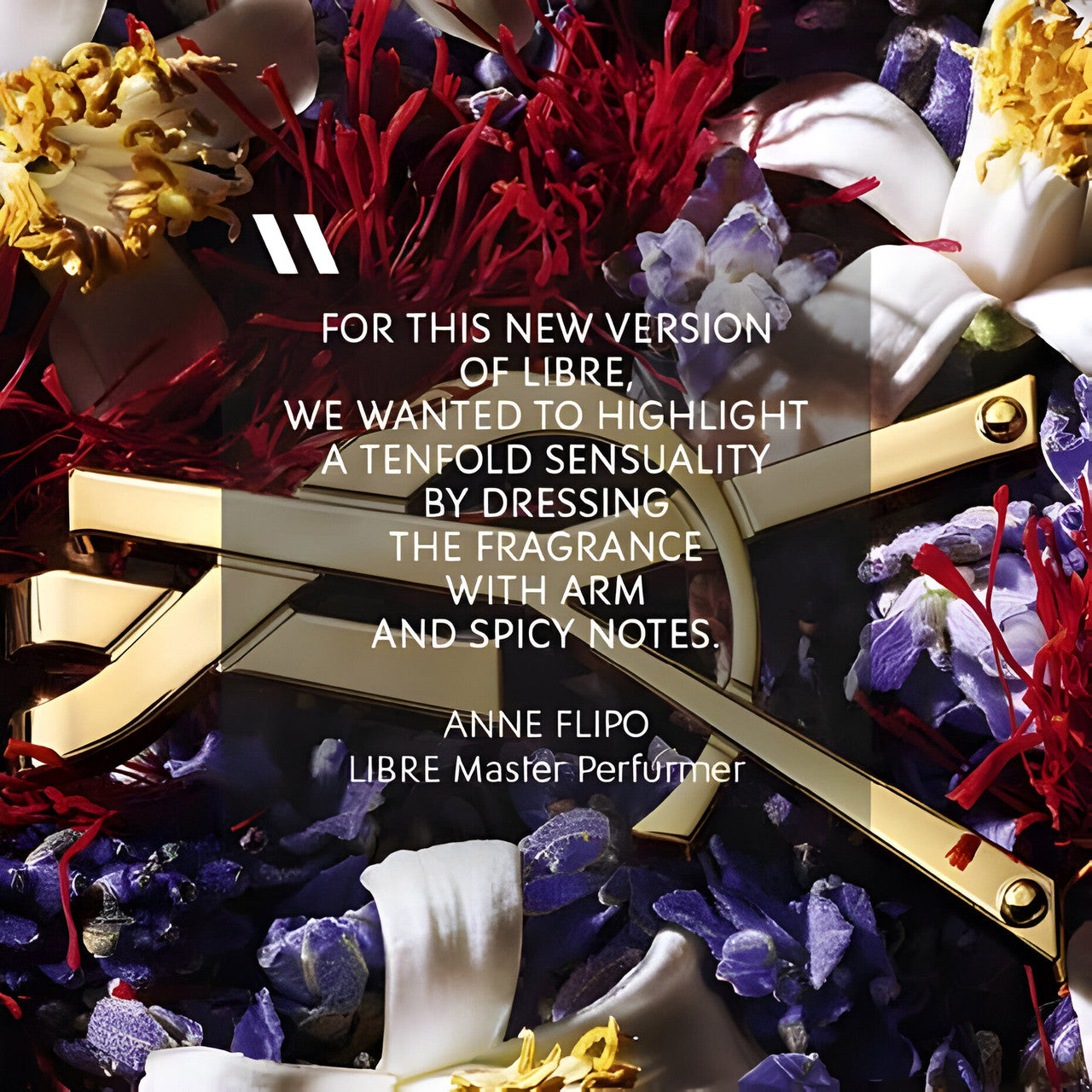 Libre Le Parfum 50ml By Yves Saint Laurent (Women's)