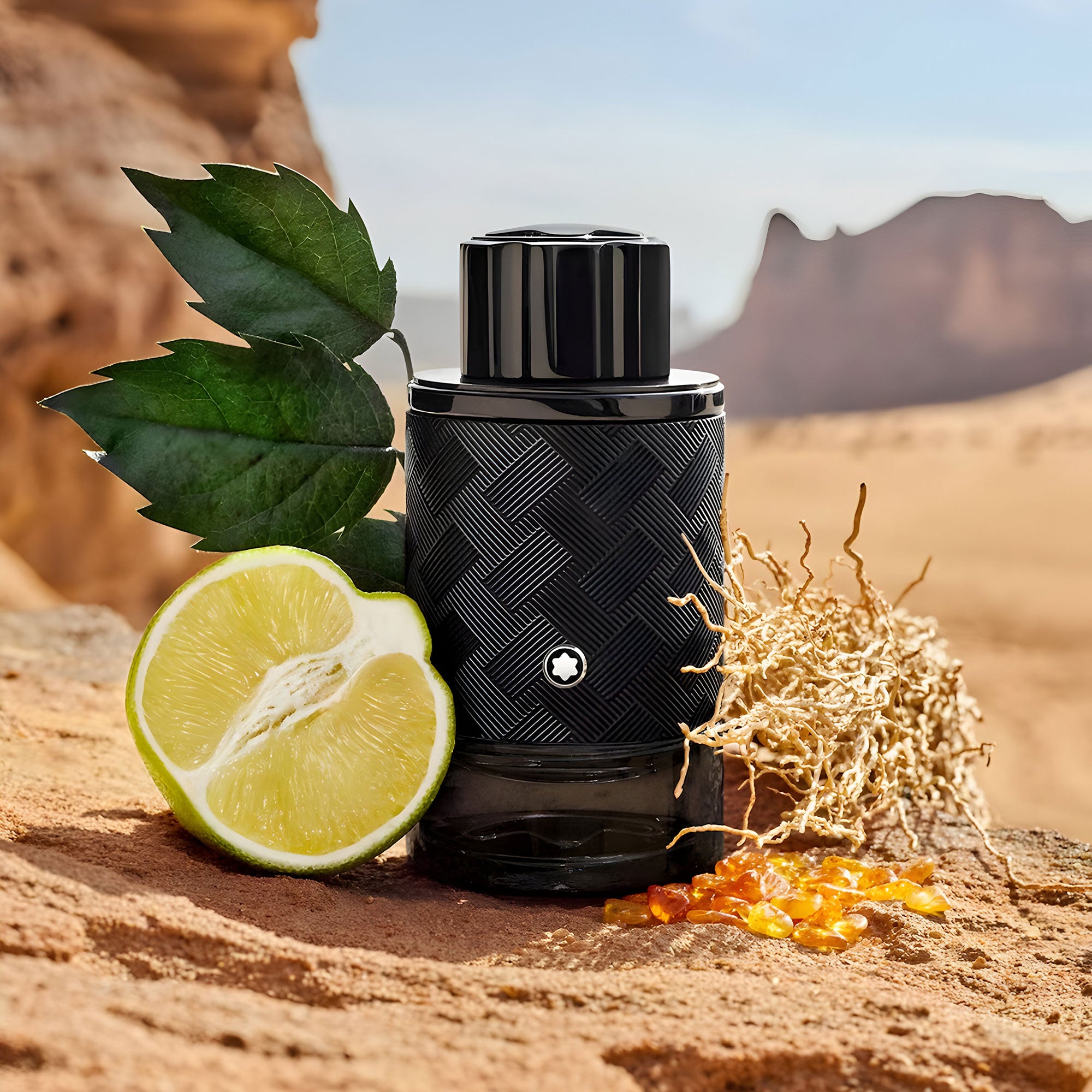 Explorer Extreme 100ml Parfum By Mont Blanc (Men's)