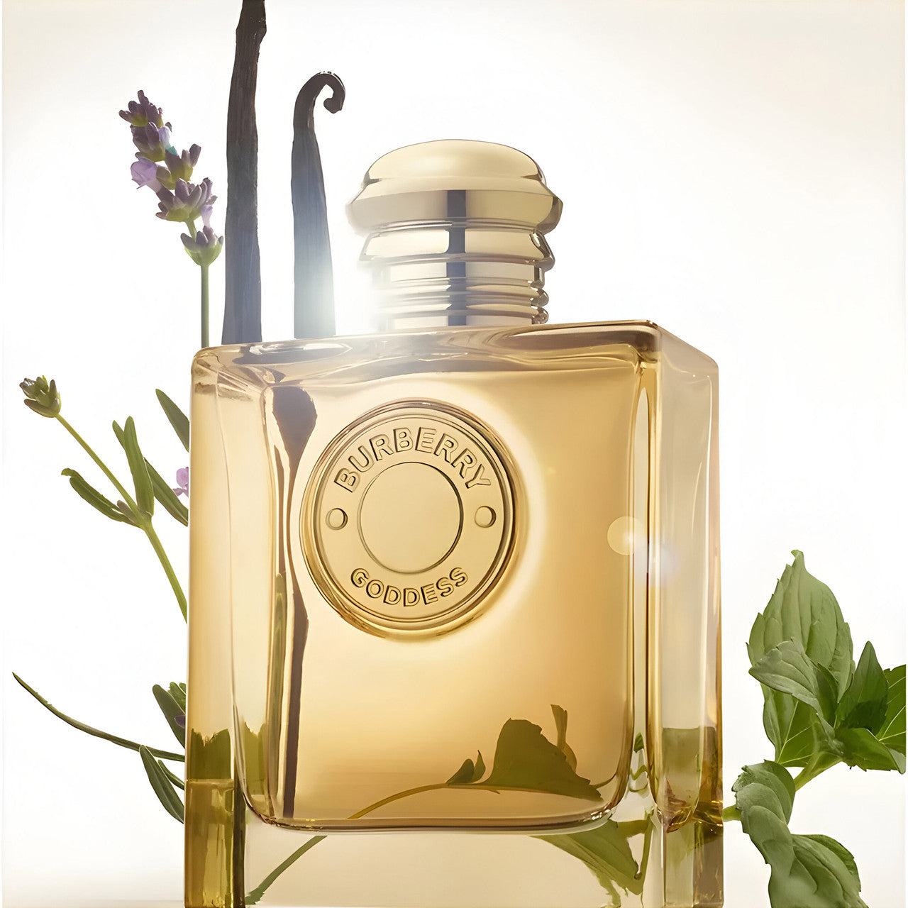 Burberry Goddess Intense 100ml EDP By Burberry (Womens)