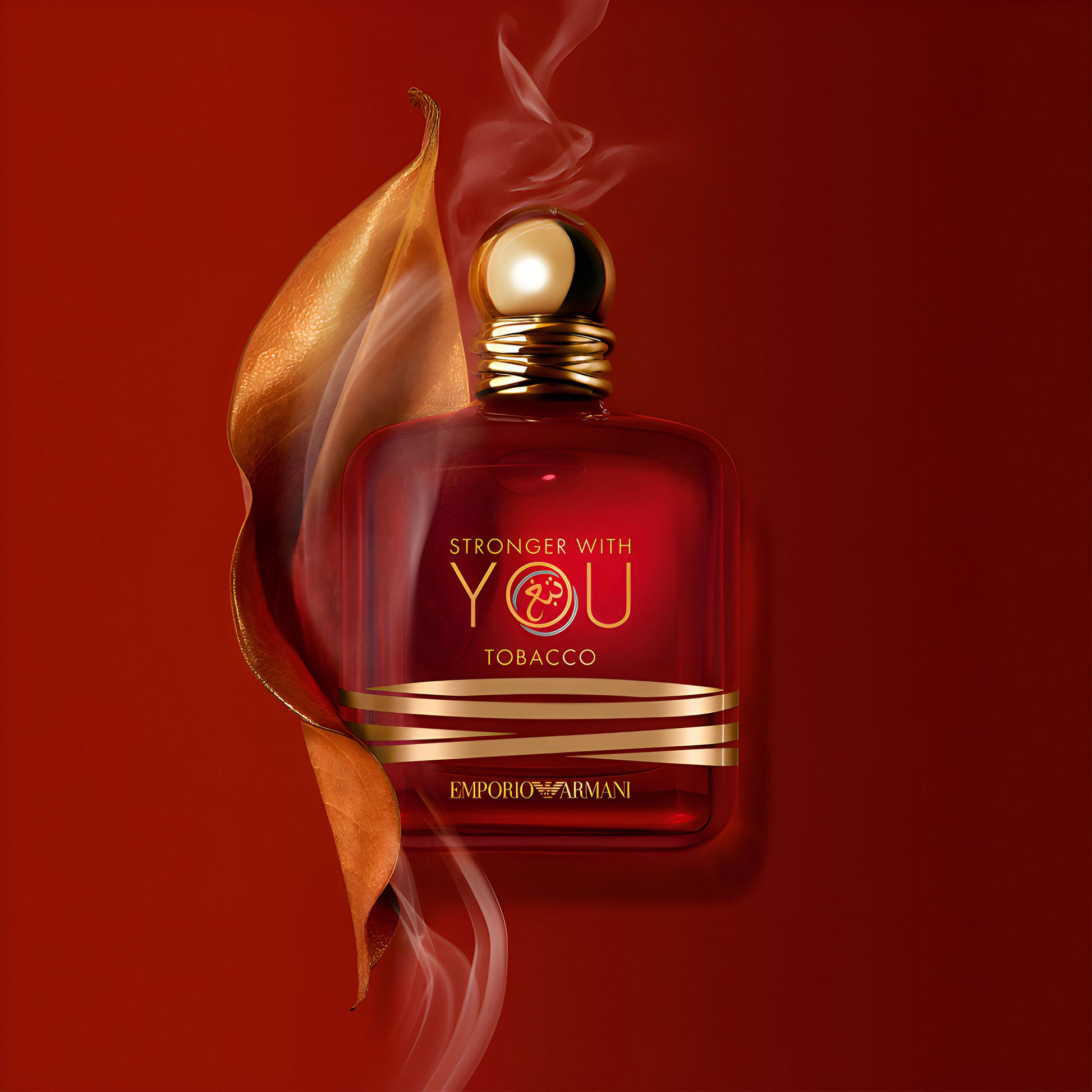 Stronger With You Tobacco 100ml EDP By Giorgio Armani (Men's)