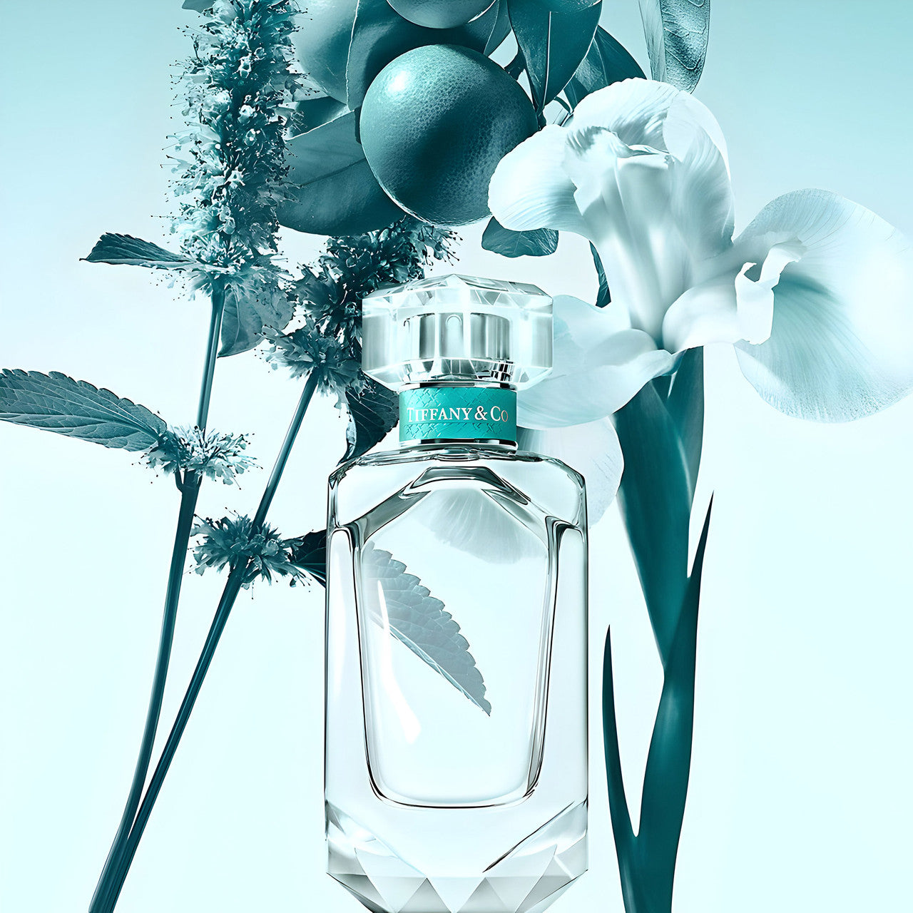 Tiffany & Co 75ml EDP (Womens)