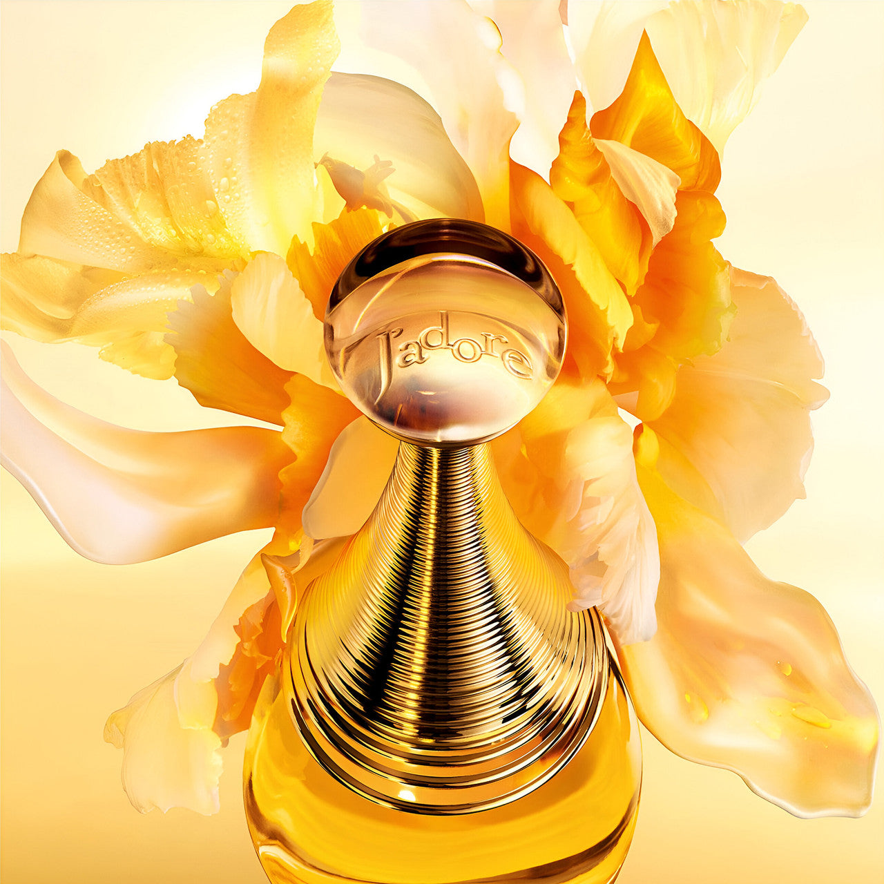 Jadore 50ml EDP By Christian Dior (Womens)
